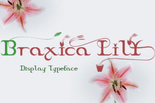 Braxica Lily: A Beautiful Font for Craft and Design