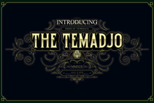 Enhance Your Web Design with Temadjo, a Classic Display Font