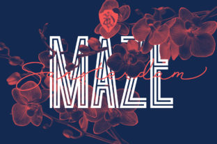 Sansterdam Maze: A Bold Display Font for Standout Branding