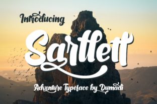 Sarllett: A Display Font That Builds Digital Charm
